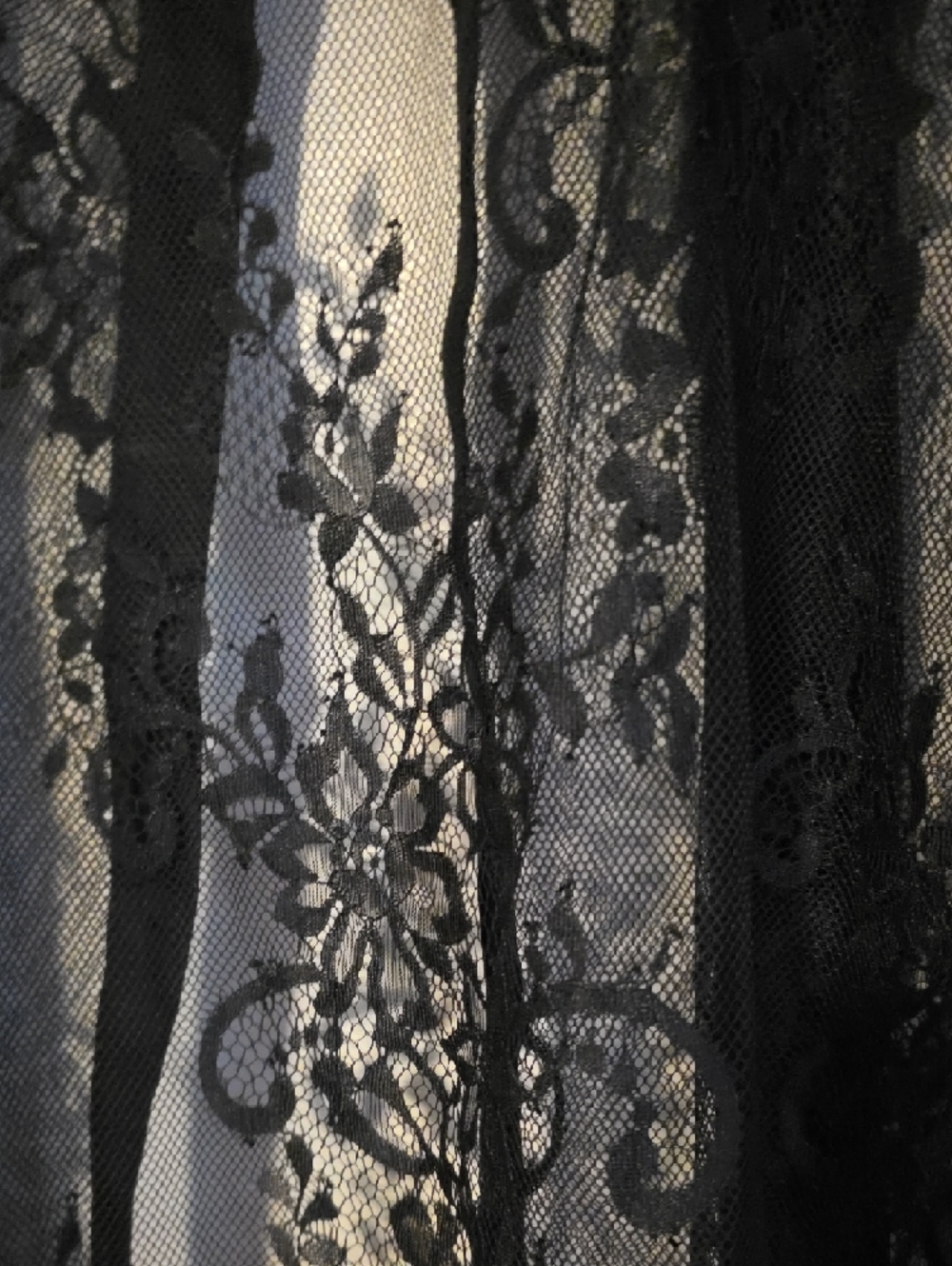 Sheer Black Lace Button-Up Blouse with Neck Ties - Picture 10 of 10